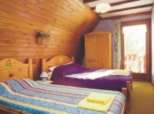 Chalet Asters  alternative view 3
